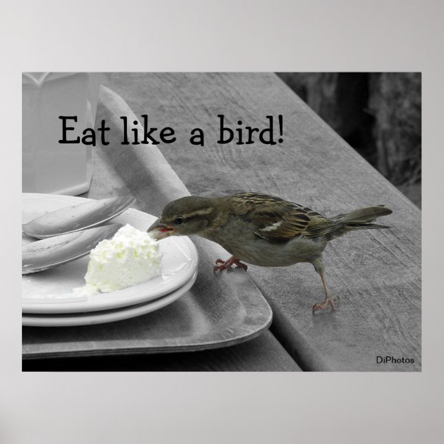 Cheeky Sparrow Poster (Front)