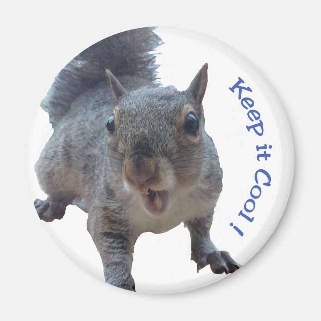 Cheeky Squirrel Fridge Magnet (Front)