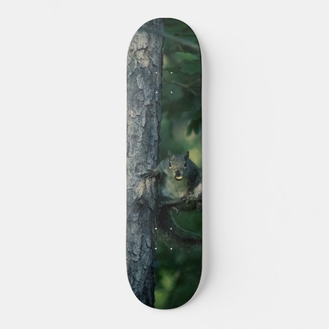 Cheeky Squirrel Skateboard (Front)