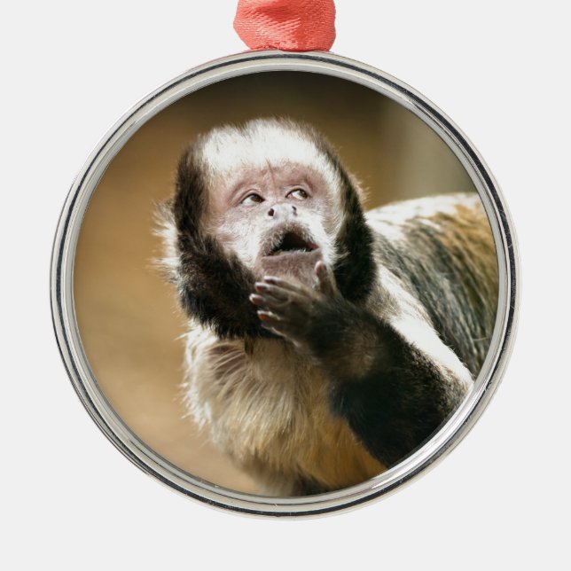 Cheeky & thoughtful baby capuchin monkey metal ornament (Front)