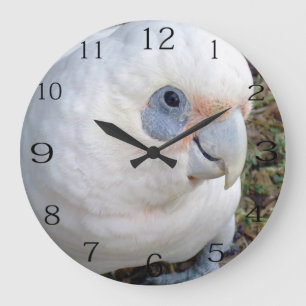 Cheeky White Australian Cockatoo, Large Clock