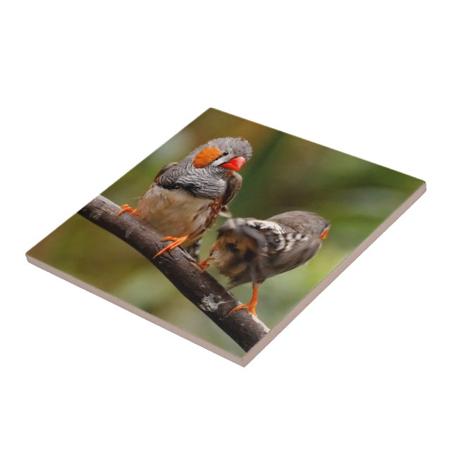 Cheeky Zebra Finches Songbirds on Branch Ceramic Tile (Side)