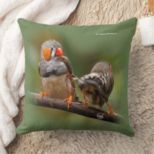 Cheeky Zebra Finches Songbirds on Branch Cushion