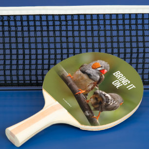 Cheeky Zebra Finches Songbirds on Branch Ping Pong Paddle