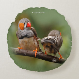 Cheeky Zebra Finches Songbirds on Branch Round Cushion