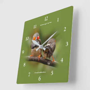 Cheeky Zebra Finches Songbirds on Branch Square Wall Clock