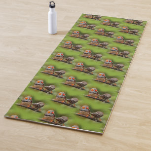 Cheeky Zebra Finches Songbirds on Branch Yoga Mat