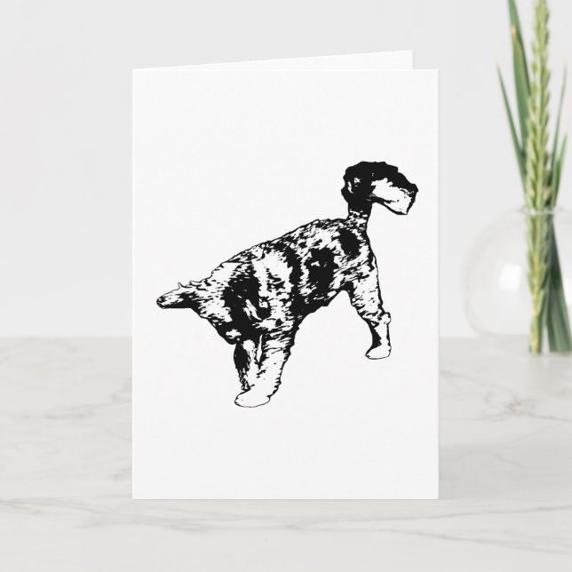 Cheer Arrives With The Stride Card (Front)