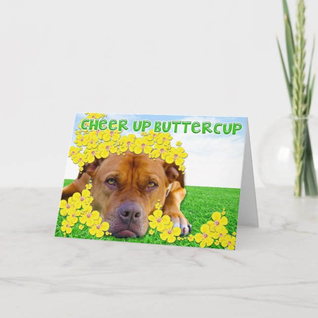 Cheer up Buttercup! Card (Front)