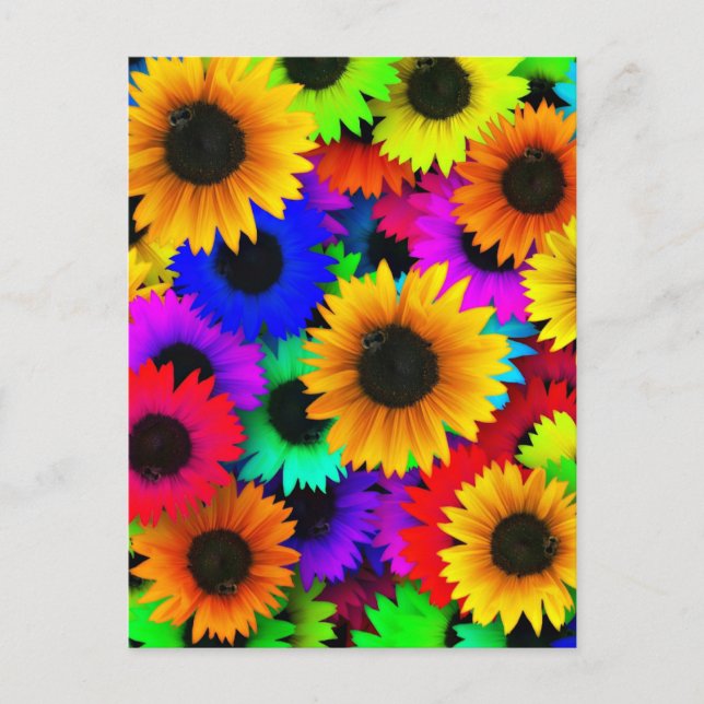 Cheerful Array of Colourful Sunflowers Postcard (Front)