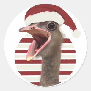 Cheerful Christmas Ostrich With Santa Hat Classic Round Sticker