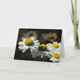 Cheerful daisies card