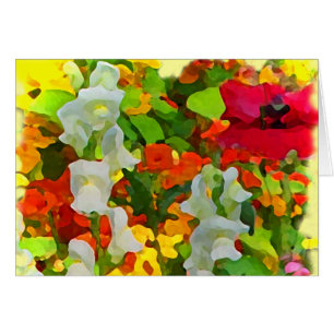 Cheerful Garden Colours