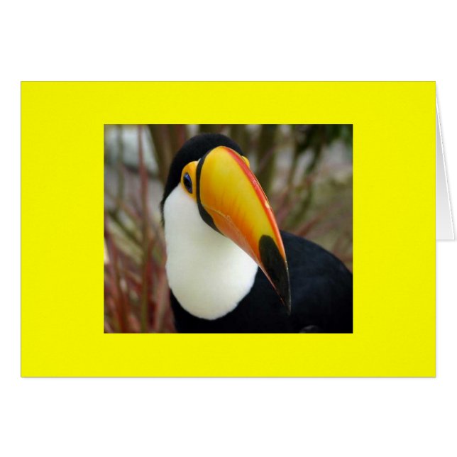 CHEERFUL GRIN (Front Horizontal)