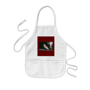 CHEERFUL GRIN KIDS APRON