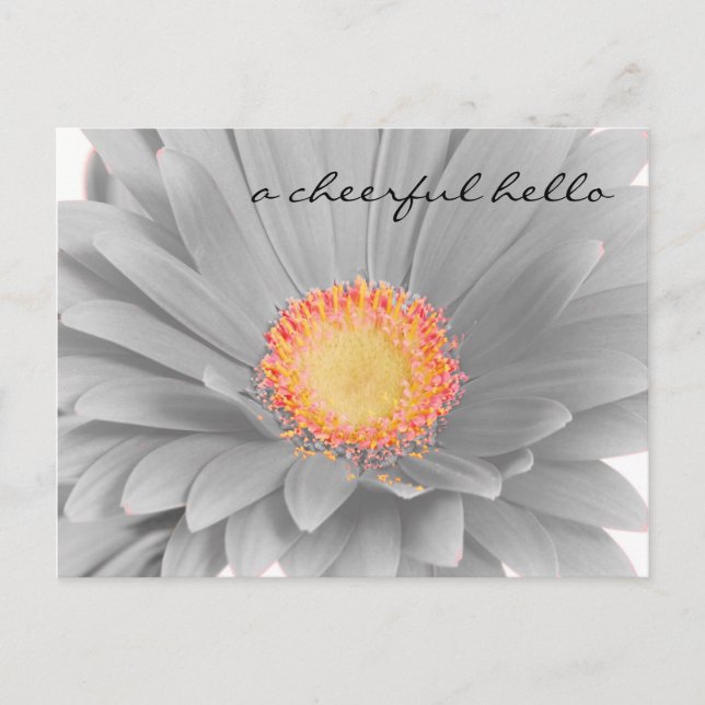 Cheerful Hello Post Card (Front)