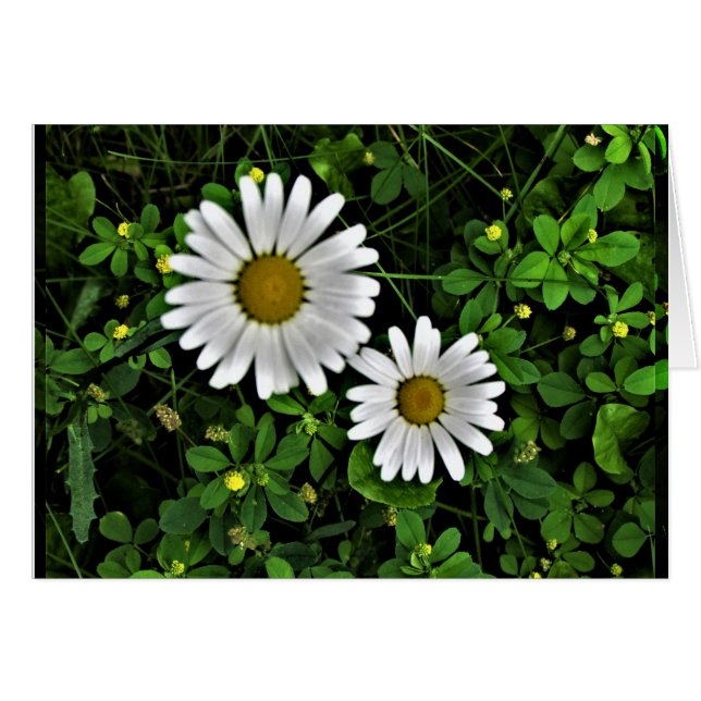 Cheerful Mother and Child Daisies (Front Horizontal)