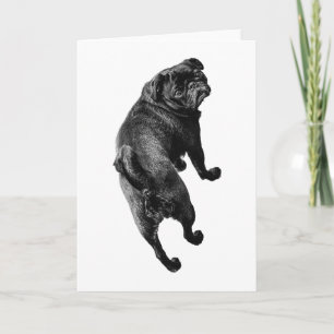 Cheerful Posture, Open Spirit Card