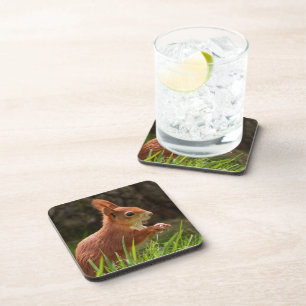 Cheerful Red Squirrel Coaster