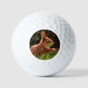 Cheerful Red Squirrel Golf Balls