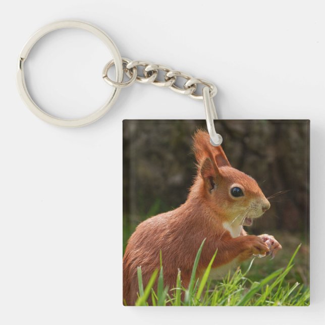 Cheerful Red Squirrel Key Ring (Front)