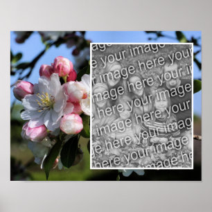 Cheerful Spring Flower Blossoms Add Your Photo Poster