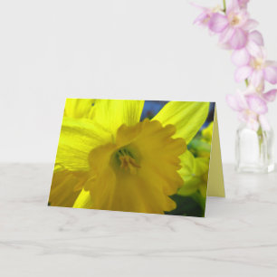 Cheerful Yellow Daffodil Narcissus Spring Flowers  Card