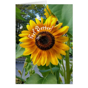 Cheerful Yellow Sunflower Feel Better Card