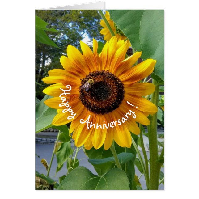 Cheerful Yellow Sunflower with Bee Anniversary (Front)
