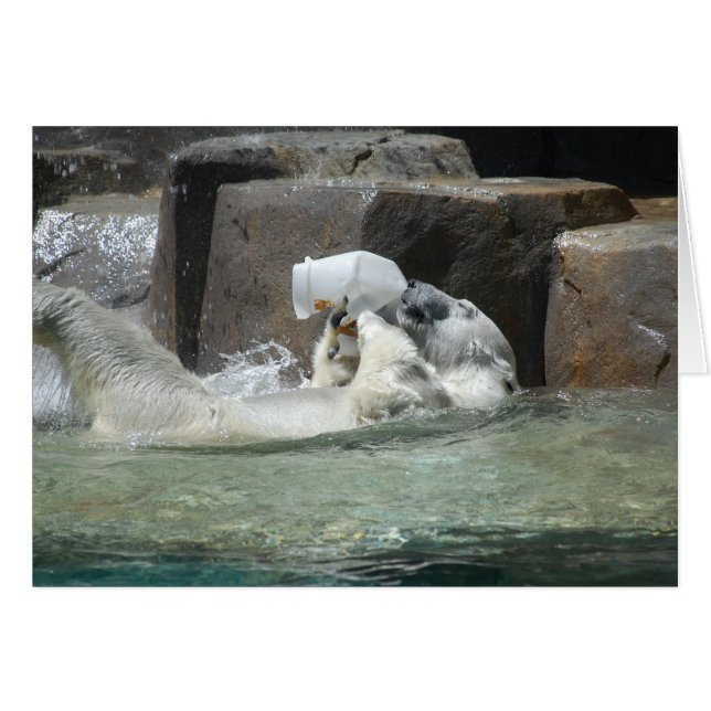 Cheers! (Front Horizontal)