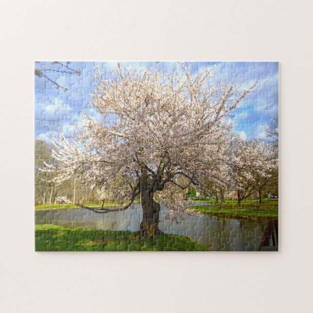 Cheery Blossom New Jersey. Jigsaw Puzzle (Horizontal)