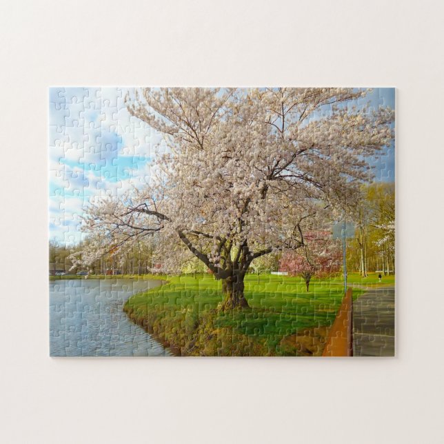 Cheery Blossom New Jersey. Jigsaw Puzzle (Horizontal)
