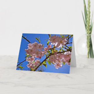Cheery Cherry Blossoms Greeting and Note Cards