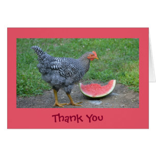 Cheery Chicken Thank You Card