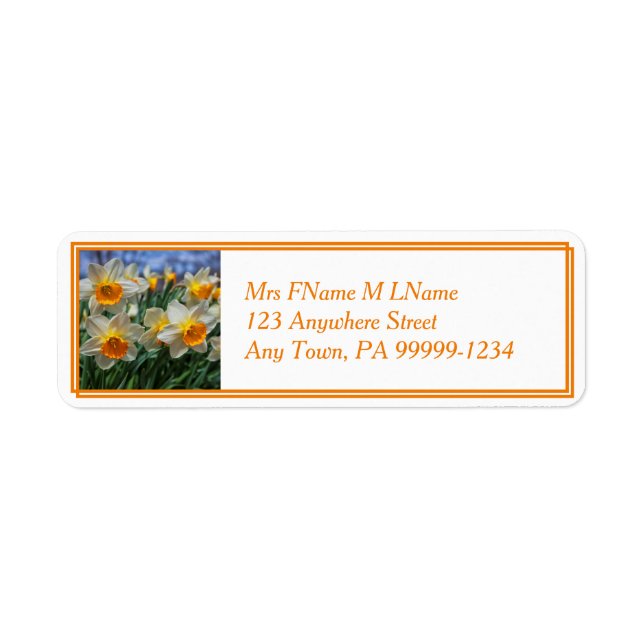 Cheery Daffodils Return Address Label (Front)