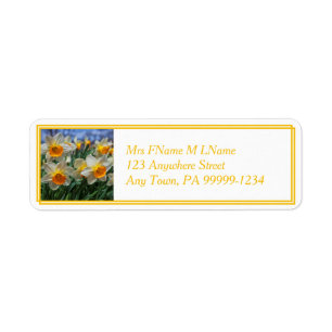 Cheery Daffodils Return Address Label