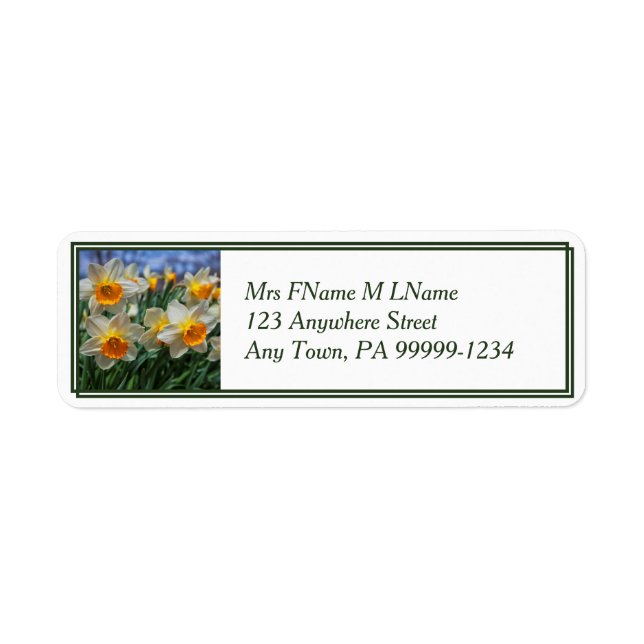 Cheery Daffodils Return Address Label (Front)