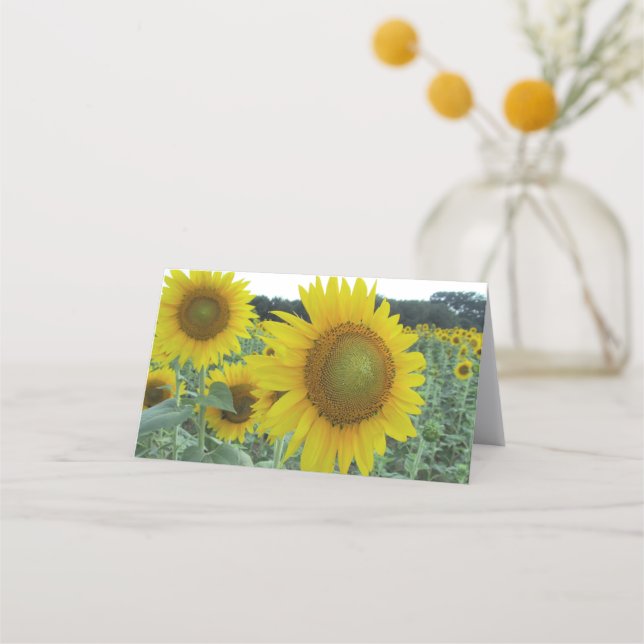 Cheery Sunflower Folded Note Cards (Front)