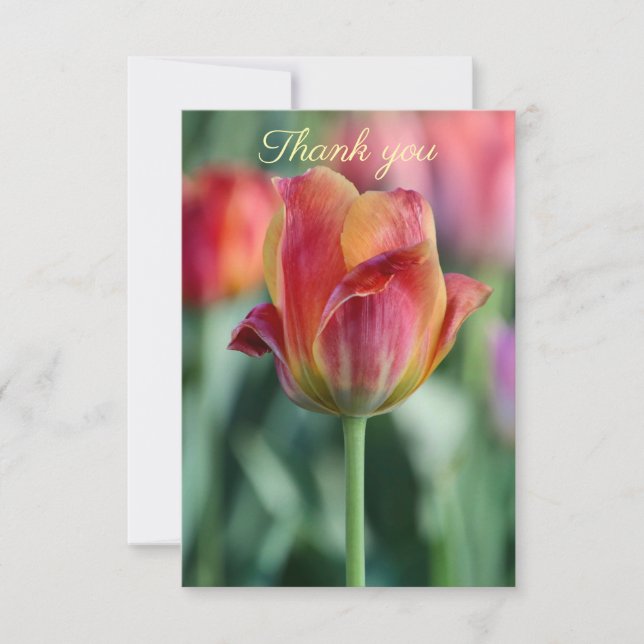 Cheery Tulip Thank You Card (Front)