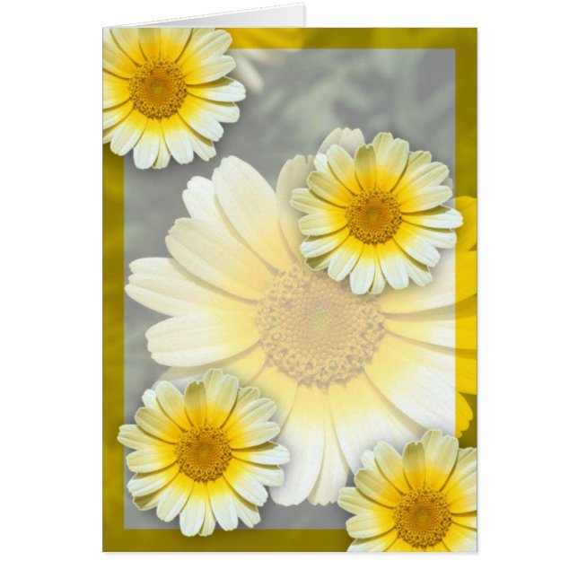 Cheery Yellow Daisies (Front)