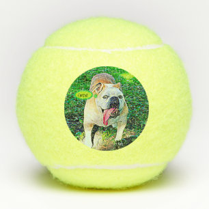 Cheese happy bulldog with tongue out tennis balls