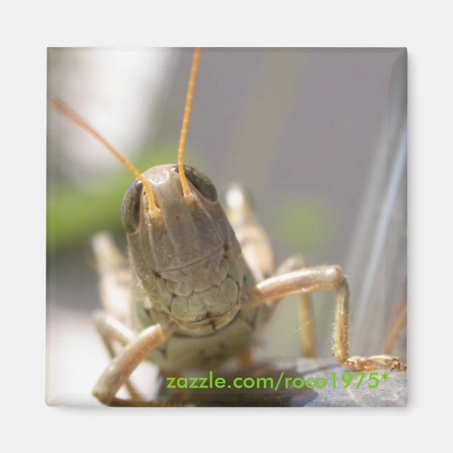 Cheese! Magnet (Front)