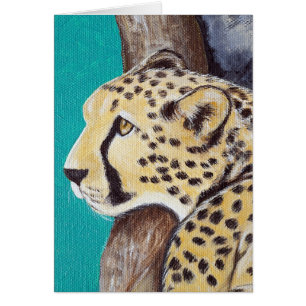 Cheetah