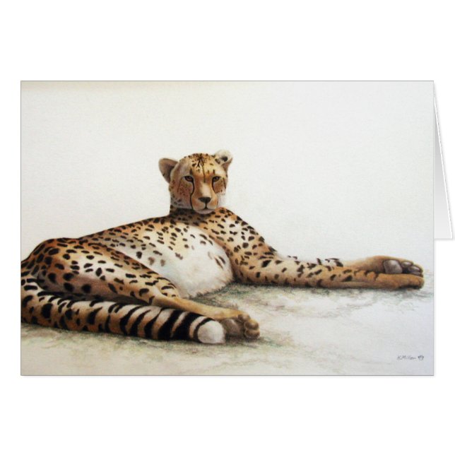 Cheetah (Front Horizontal)