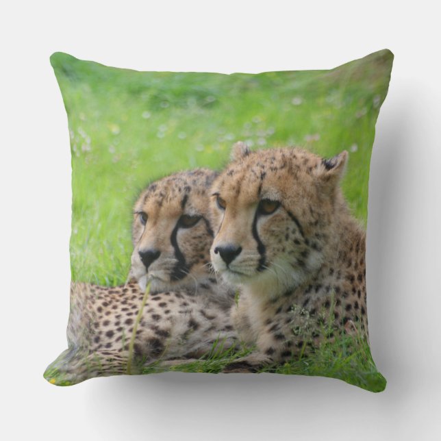 Cheetah 001 cushion (Front)