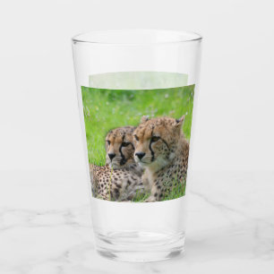 Cheetah 001 glass