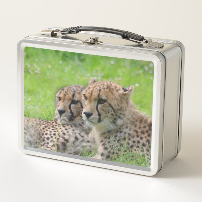 Cheetah 001 metal lunch box (Front)
