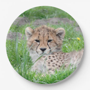 Cheetah 002 paper plate
