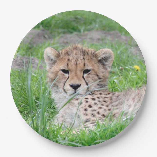 Cheetah 002 paper plate (Front)