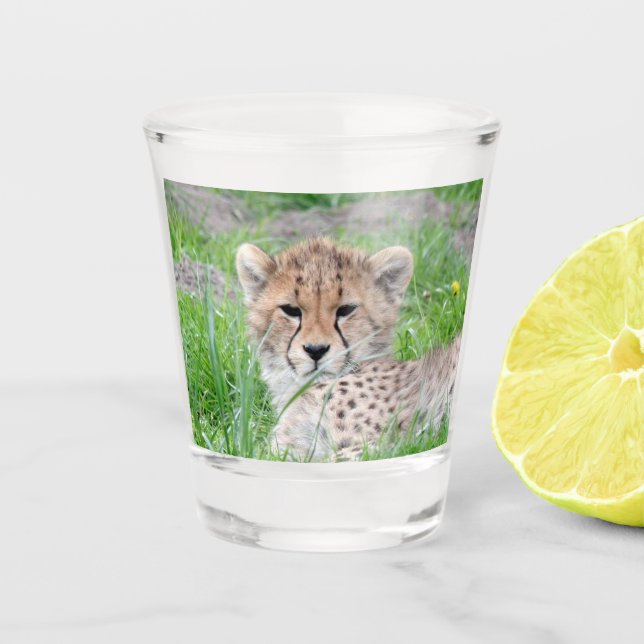 Cheetah 002 shot glass (Front)